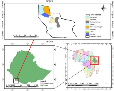 Intimate partner violence and associated factors among married adolescent girls and young women in the pastoralist community of South Ethiopia: is intimate partner violence associated with cultural phenomena?